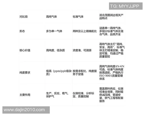探索VS的多重含义与应用场景解析