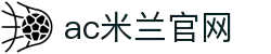 米兰(中国)体育官方网站-AC Milan
